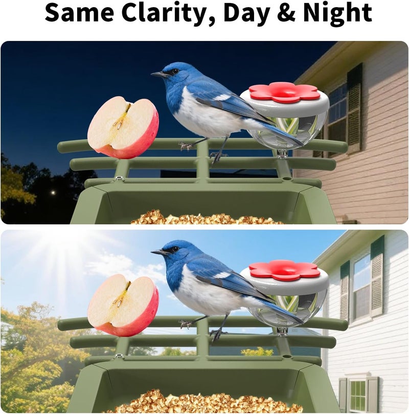 cbeyook Smart Bird Feeder Camera with AI Species Identifier | Solar Powered, 2.5K HD Video, Motion Alerts - Outdoor Garden & Birdwatching Gift - Image 3